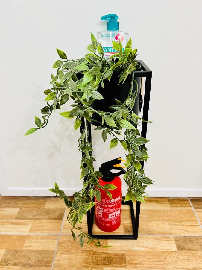 Altheda Living Brownie 29E-2 Apartment Сучеава Екстериор снимка